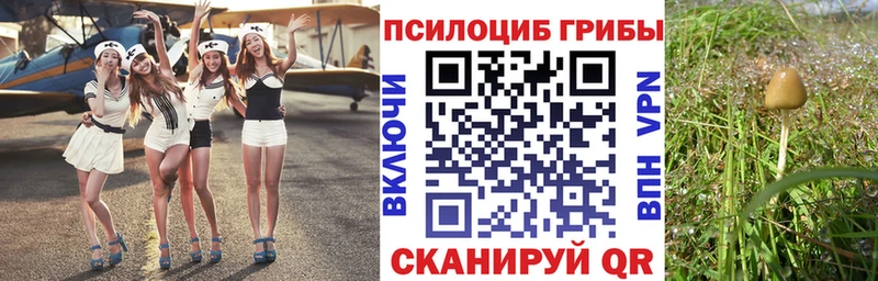 гидра как зайти  Афипский  Галлюциногенные грибы прущие грибы  наркота 